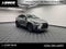 2024 Lexus NX 250 Premium