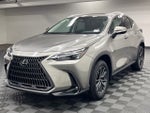2024 Lexus NX 250 Premium