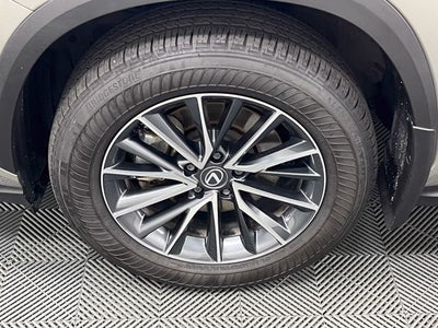 2024 Lexus NX 250 Premium