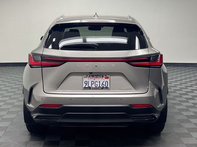 2024 Lexus NX 250 Premium